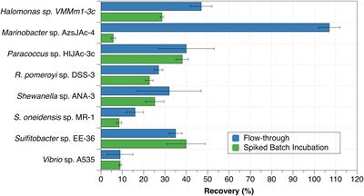 Heterotrophic Bacteria Exhibit a Wide Range of Rates of Extracellular Production and Decay of Hydrogen Peroxide